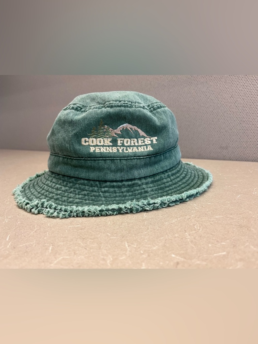 Cook Forest Pennsylvania Embroidered Green Frayed Bucket Hat—Large